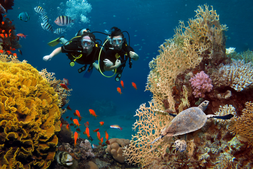 Scuba Diving in Phu Quoc