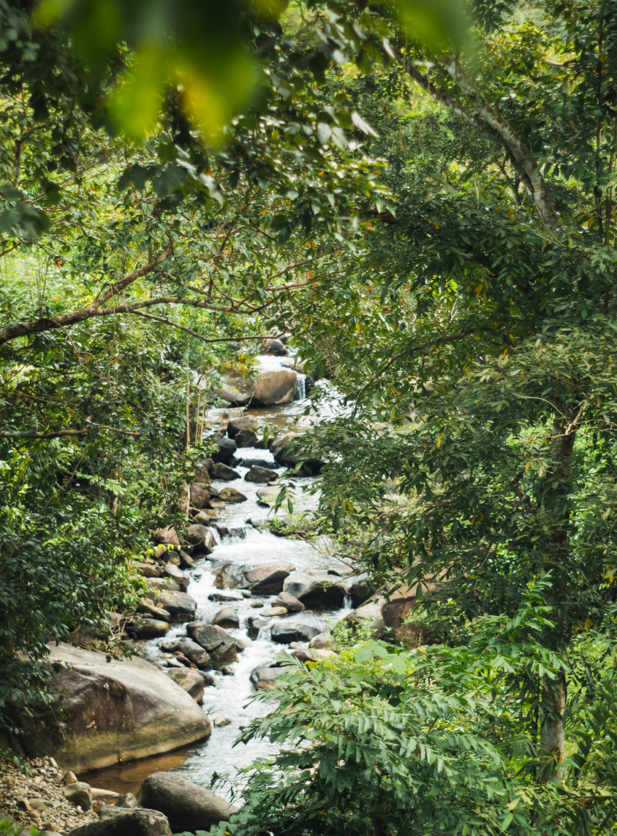 Binh Thuan Waterfall