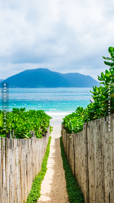 Con Dao Wallpaper Vietnam Tourism