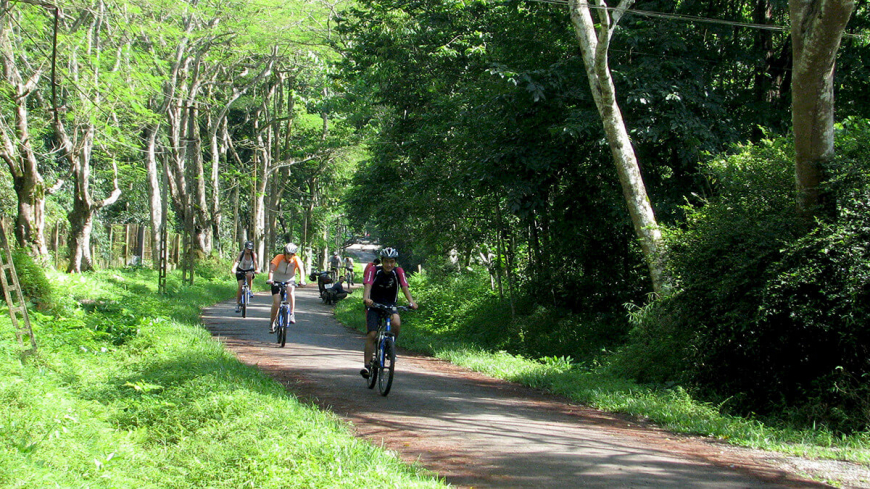 Cuc Phuong National Park