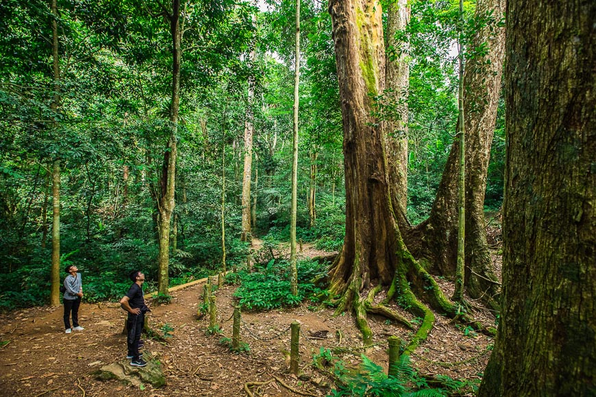 best hiking in vietnam