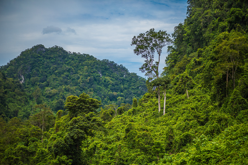 national parks vietnam