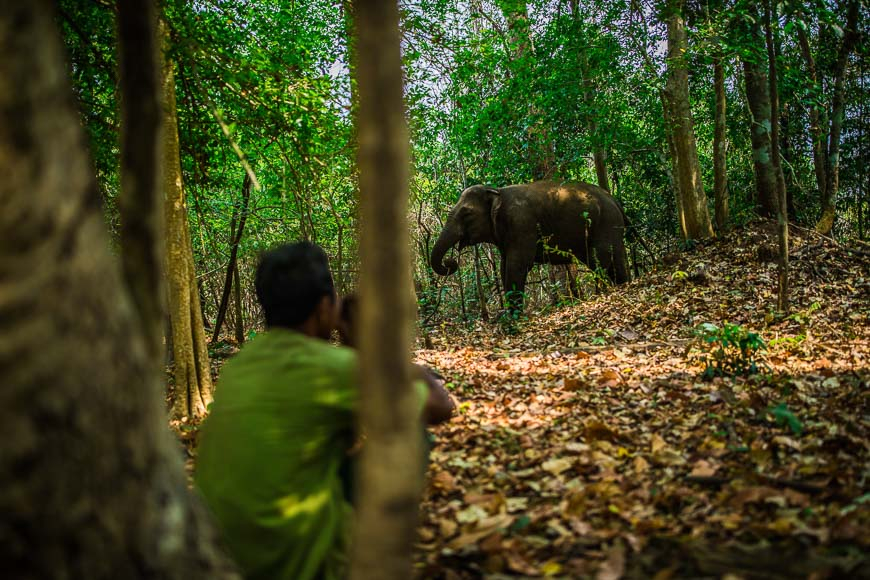 sustainable travel vietnam