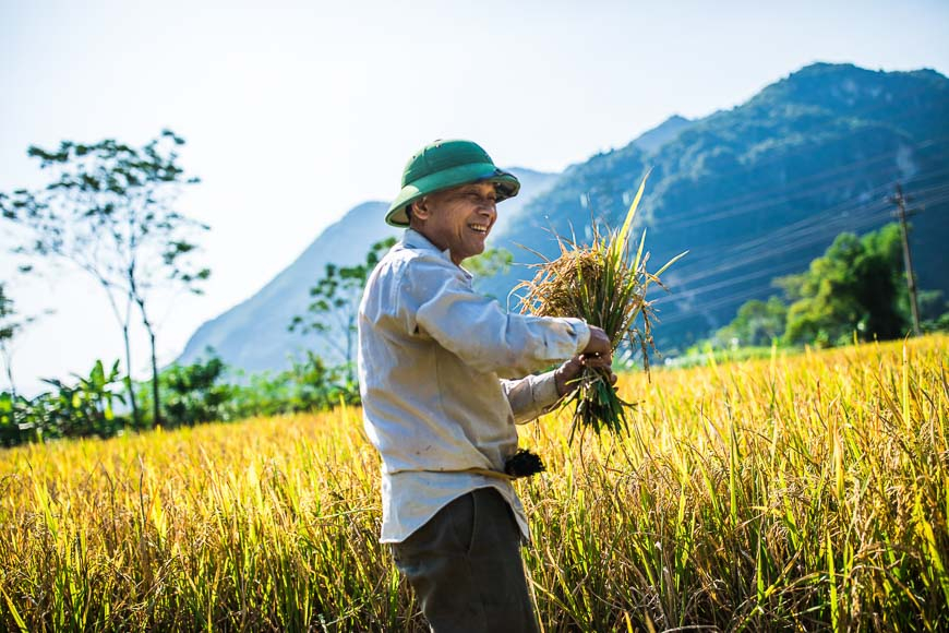 green tours Vietnam