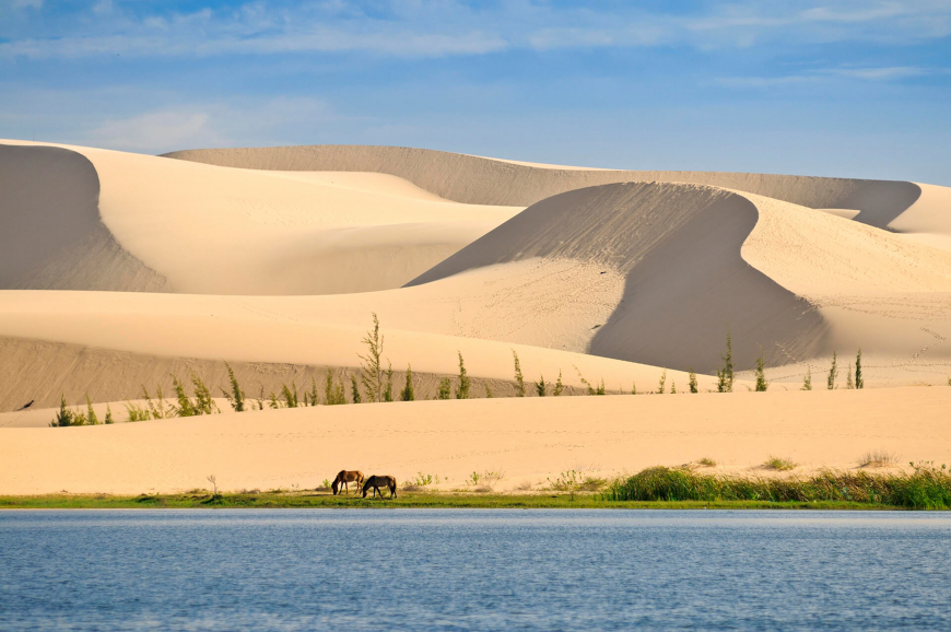 Bau Trang sand dunes