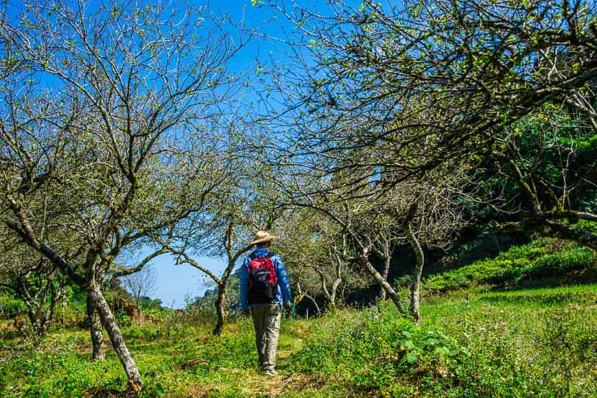 Mai Chau travel guide