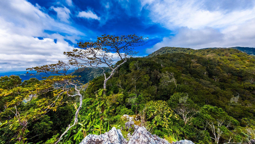 Kon Ka Kinh National Park